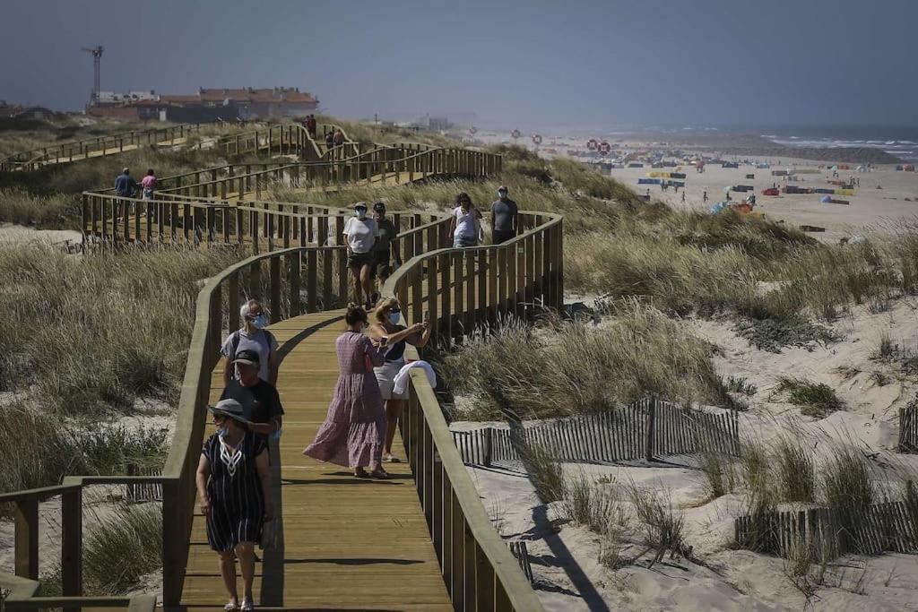 Bird's Aveiro