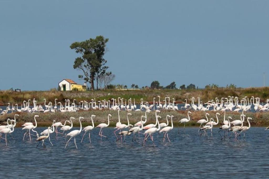 Bird's Holiday home